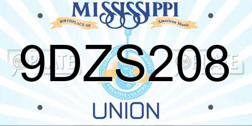 9DZS208 Mississippi License Plate