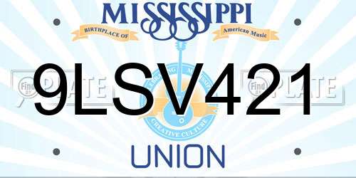 9LSV421 Mississippi License Plate