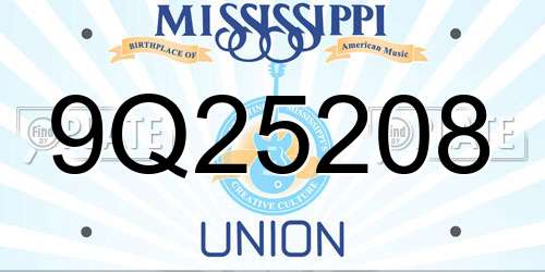 9Q25208 Mississippi License Plate