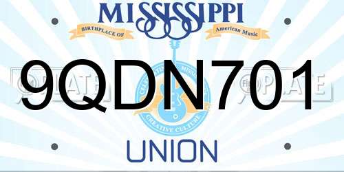 9QDN701 Mississippi License Plate