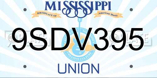 9SDV395 Mississippi License Plate