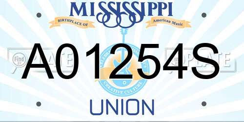 A01254S Mississippi License Plate