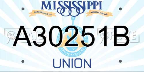 A30251B Mississippi License Plate