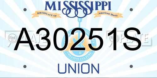 A30251S Mississippi License Plate