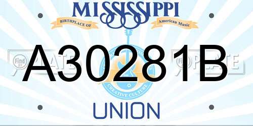 A30281B Mississippi License Plate