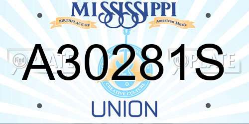 A30281S Mississippi License Plate