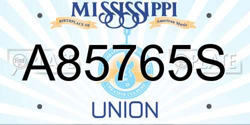 A85765S Mississippi License Plate