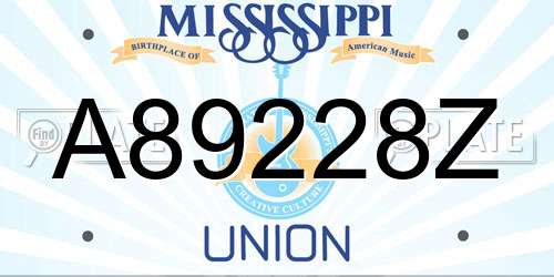 A89228Z Mississippi License Plate