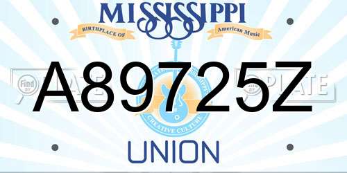 A89725Z Mississippi License Plate