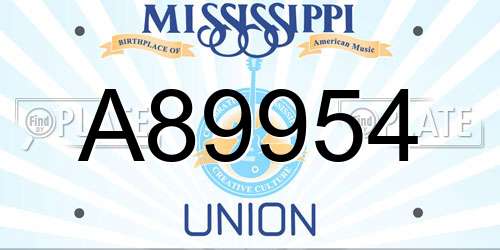 A89954 Mississippi License Plate