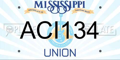 ACI134 Mississippi License Plate
