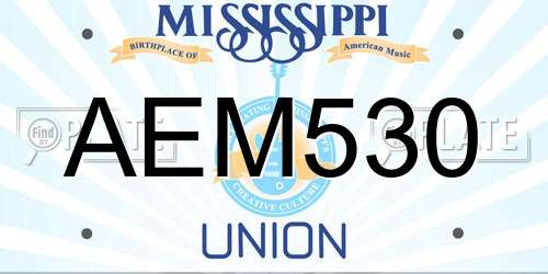 AEM530 Mississippi License Plate