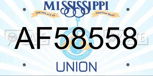 AF58558 Mississippi License Plate