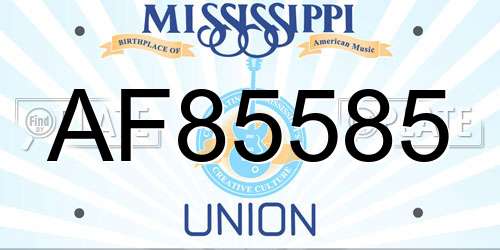 AF85585 Mississippi License Plate