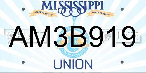 AM3B919 Mississippi License Plate