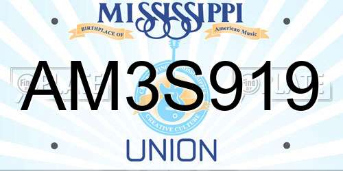 AM3S919 Mississippi License Plate