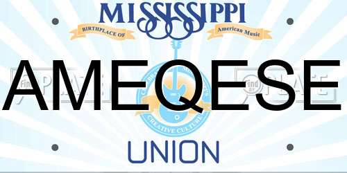 AMEQESE Mississippi License Plate
