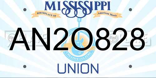 AN2O828 Mississippi License Plate