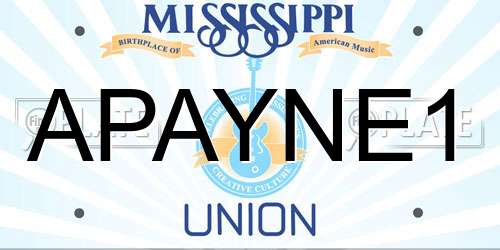 APAYNE1 Mississippi License Plate