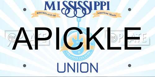 APICKLE Mississippi License Plate