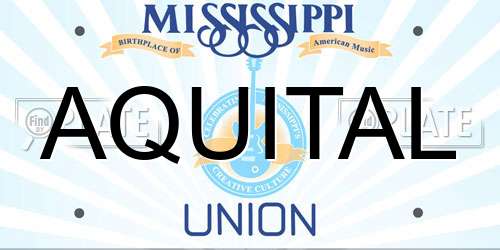 AQUITAL Mississippi License Plate