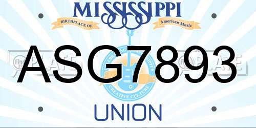 ASG7893 Mississippi License Plate