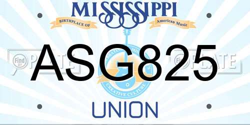 ASG825 Mississippi License Plate