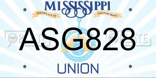 ASG828 Mississippi License Plate