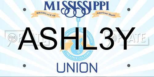 ASHL3Y Mississippi License Plate