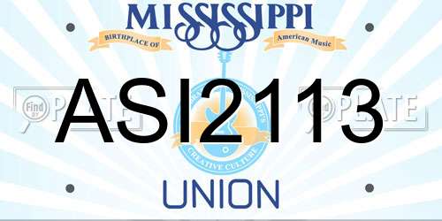 ASI2113 Mississippi License Plate