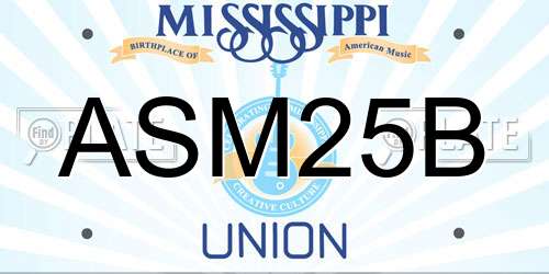 ASM25B Mississippi License Plate