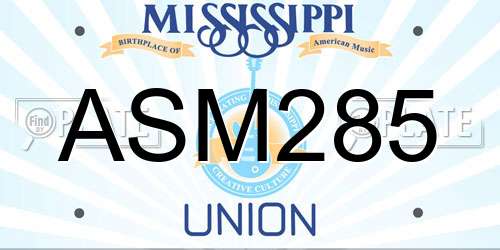 ASM285 Mississippi License Plate