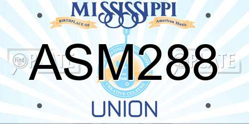 ASM288 Mississippi License Plate