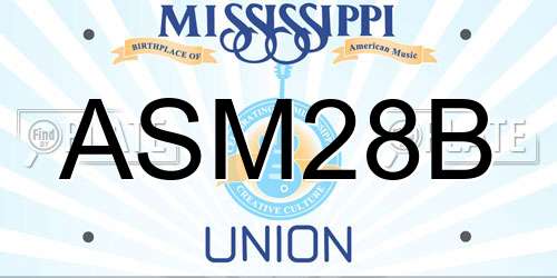 ASM28B Mississippi License Plate