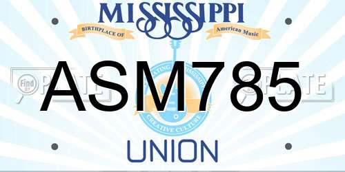 ASM785 Mississippi License Plate