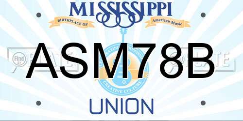ASM78B Mississippi License Plate
