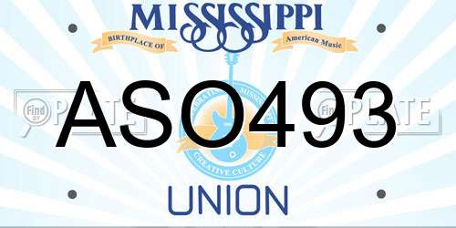 ASO493 Mississippi License Plate