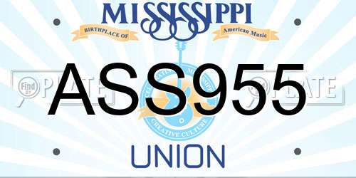ASS955 Mississippi License Plate