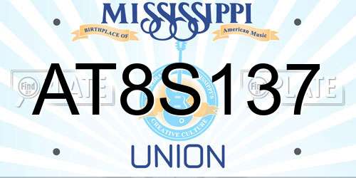 AT8S137 Mississippi License Plate