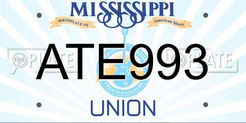 ATE993 Mississippi License Plate