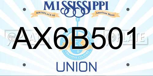 AX6B501 Mississippi License Plate