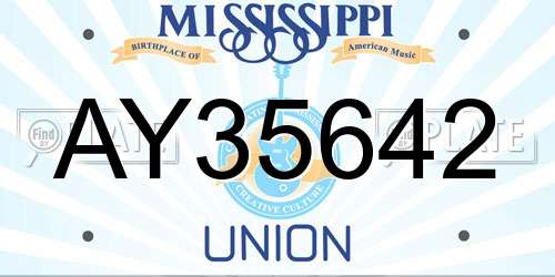 AY35642 Mississippi License Plate