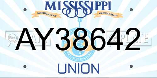 AY38642 Mississippi License Plate