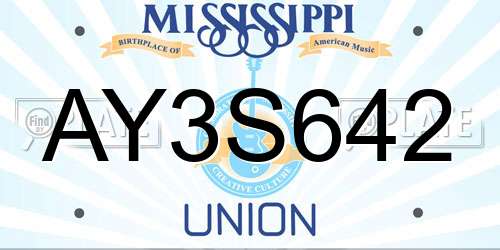 AY3S642 Mississippi License Plate