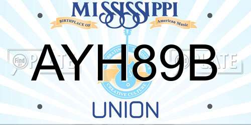 AYH89B Mississippi License Plate