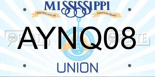 AYNQ08 Mississippi License Plate