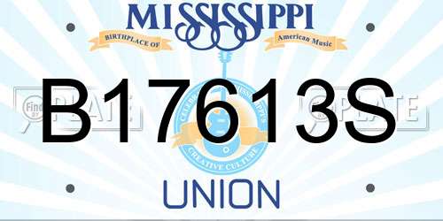 B17613S Mississippi License Plate