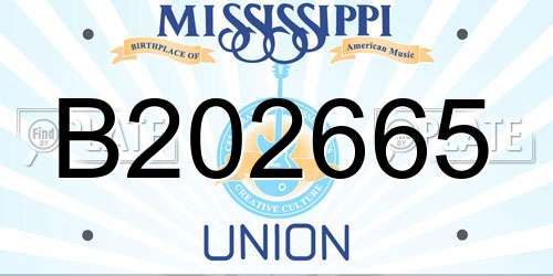 B202665 Mississippi License Plate