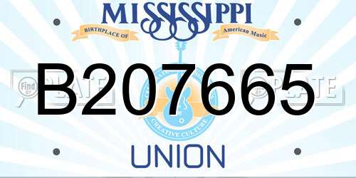 B207665 Mississippi License Plate
