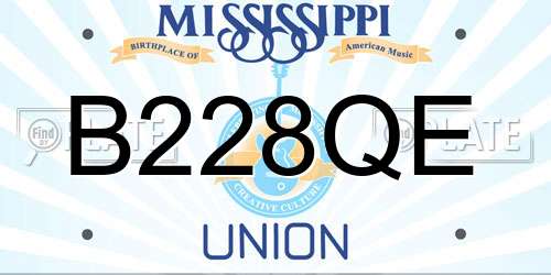 B228QE Mississippi License Plate